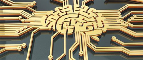 为了让AI学会洗碗，科学家决定研究动物大脑